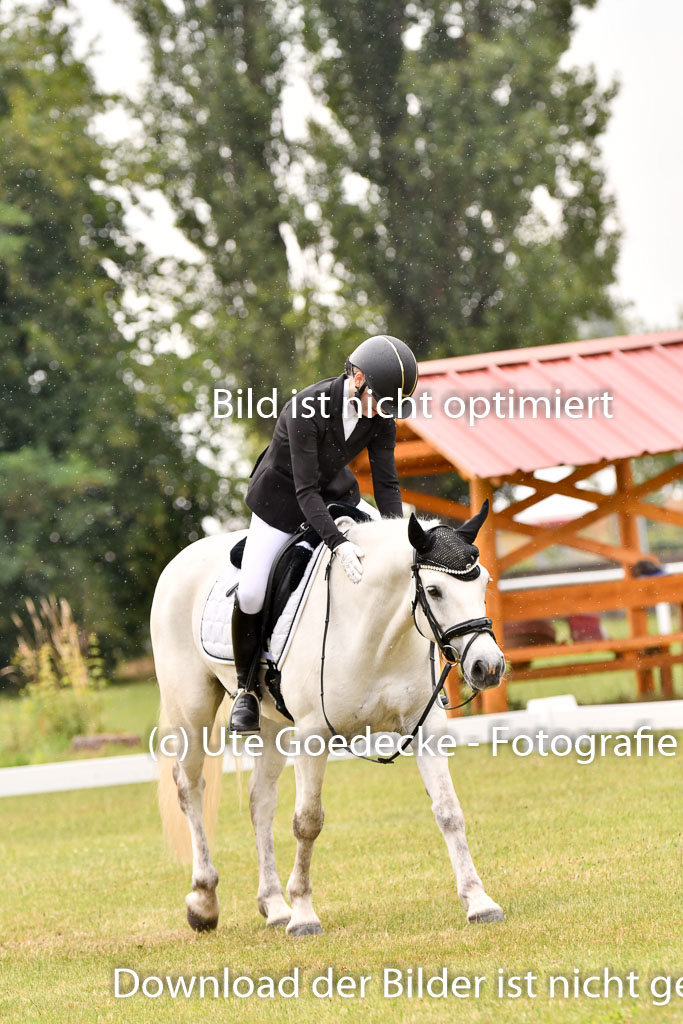 Goldene Schärpe Ponys in Hohenberg Krusemark 2024 | 12072024 Dressur _1174 