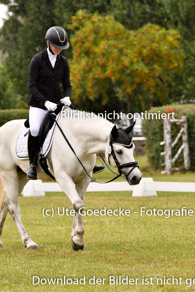 Goldene Schärpe Ponys in Hohenberg Krusemark 2024 | 12072024 Dressur _1175 