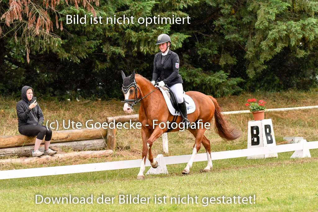 Goldene Schärpe Ponys in Hohenberg Krusemark 2024 | 12072024 Dressur _1176