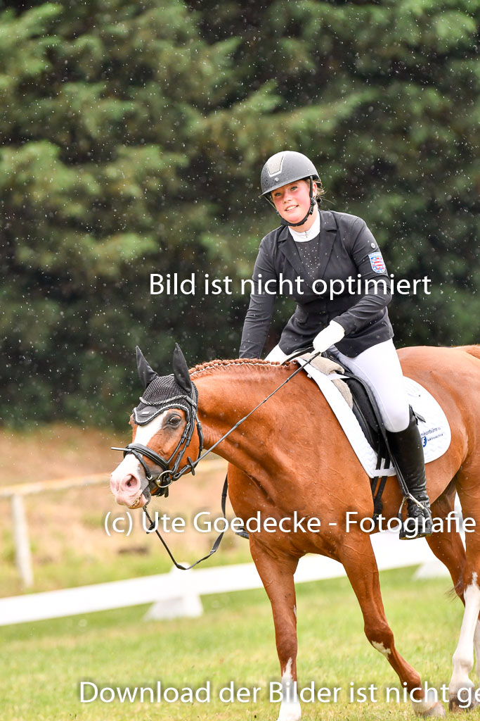Goldene Schärpe Ponys in Hohenberg Krusemark 2024 | 12072024 Dressur _1178