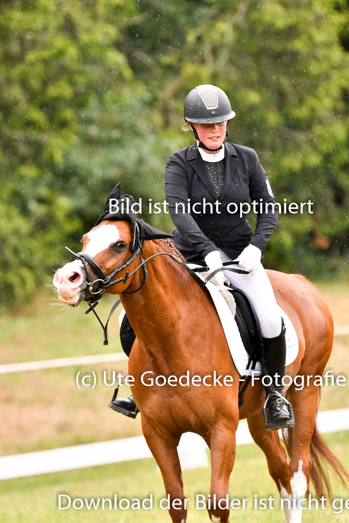 Goldene Schärpe Ponys in Hohenberg Krusemark 2024 | 12072024 Dressur _1179 