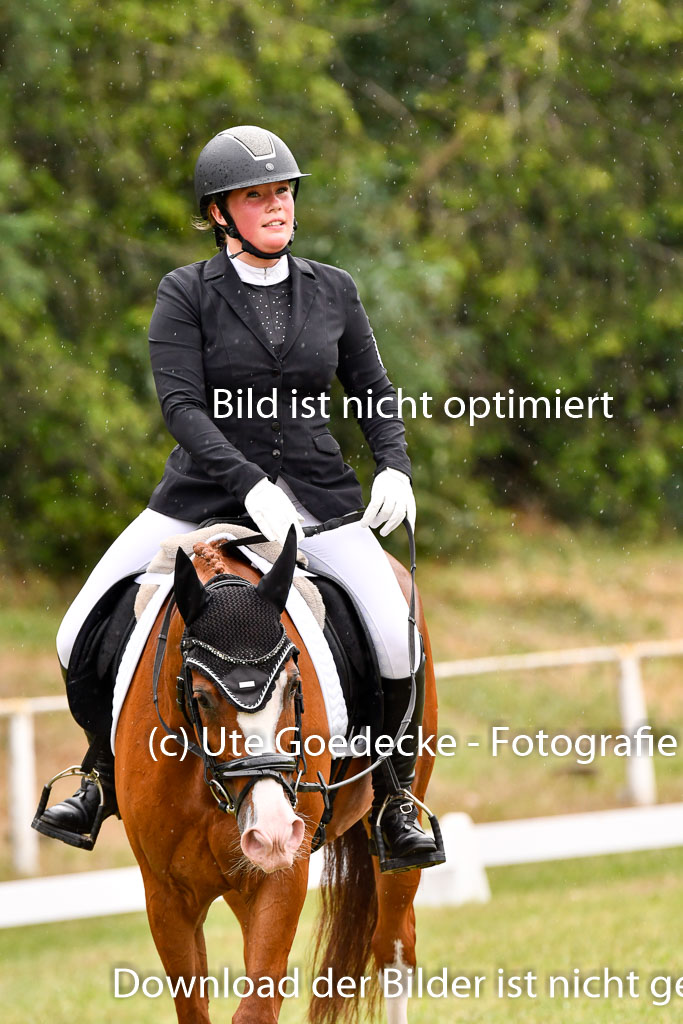 Goldene Schärpe Ponys in Hohenberg Krusemark 2024 | 12072024 Dressur _1180 