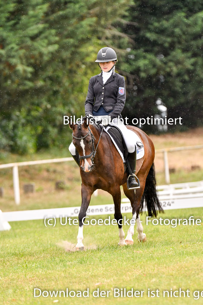 Goldene Schärpe Ponys in Hohenberg Krusemark 2024 | 12072024 Dressur _1181 