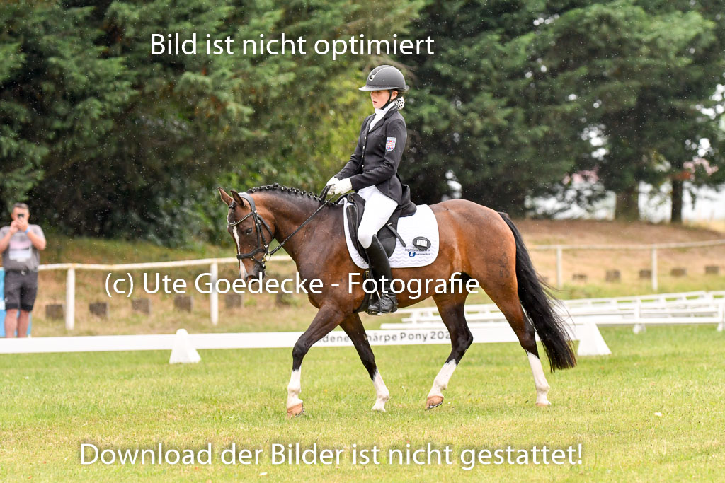 Goldene Schärpe Ponys in Hohenberg Krusemark 2024 | 12072024 Dressur _1182