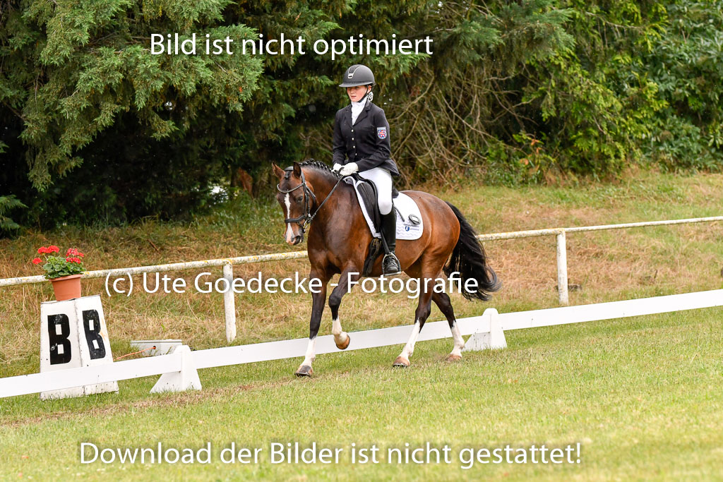 Goldene Schärpe Ponys in Hohenberg Krusemark 2024 | 12072024 Dressur _1188 