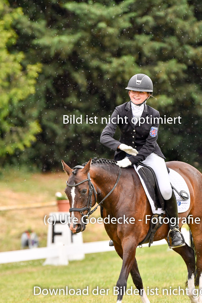 Goldene Schärpe Ponys in Hohenberg Krusemark 2024 | 12072024 Dressur _1191