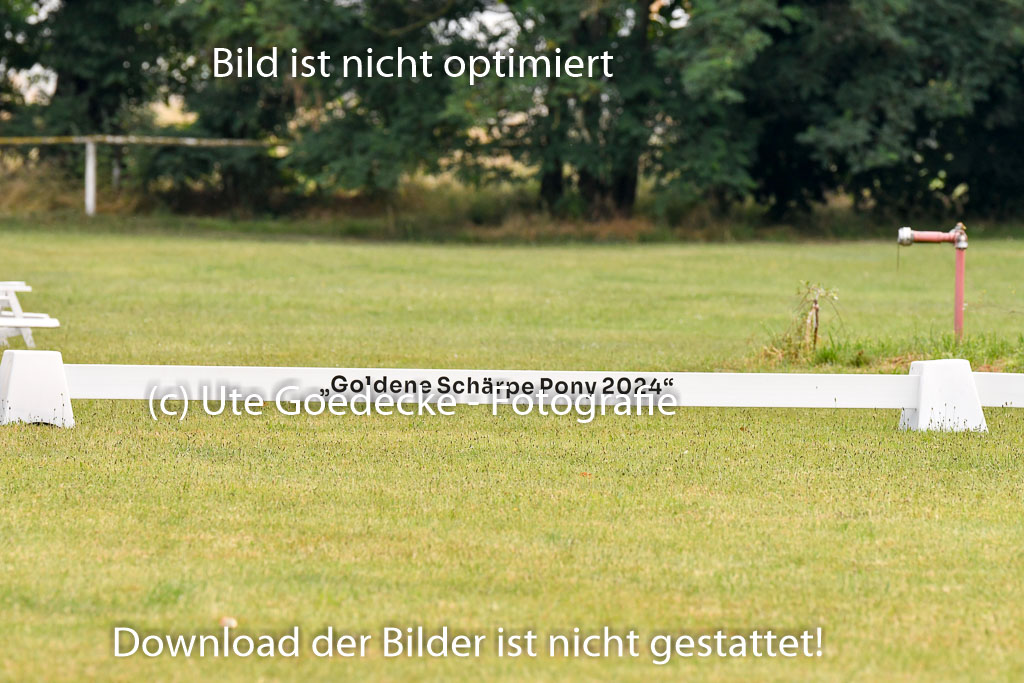 Goldene Schärpe Ponys in Hohenberg Krusemark 2024 | 12072024 Dressur