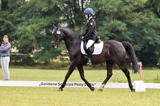 Goldene Schärpe Ponys in Hohenberg Krusemark 2024 | 12072024 Dressur _0003 