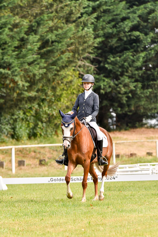 Goldene Schärpe Ponys in Hohenberg Krusemark 2024 | 12072024 Dressur _0004 