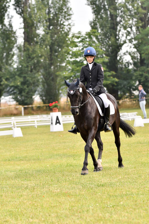 Goldene Schärpe Ponys in Hohenberg Krusemark 2024 | 12072024 Dressur _0005 