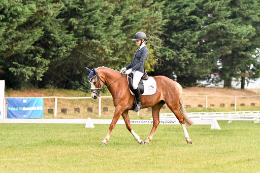 Goldene Schärpe Ponys in Hohenberg Krusemark 2024 | 12072024 Dressur _0006 