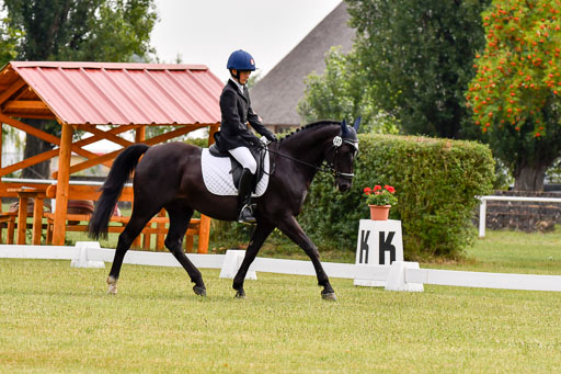 Goldene Schärpe Ponys in Hohenberg Krusemark 2024 | 12072024 Dressur _0008 