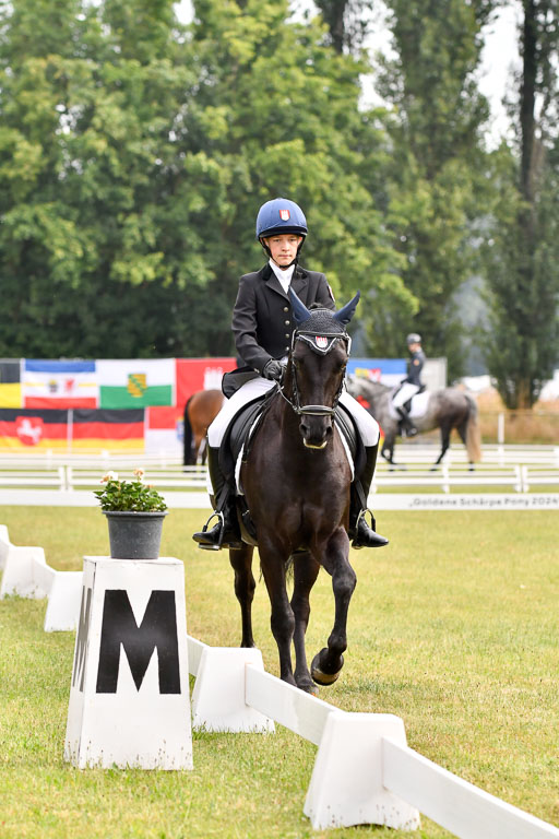 Goldene Schärpe Ponys in Hohenberg Krusemark 2024 | 12072024 Dressur _0012 