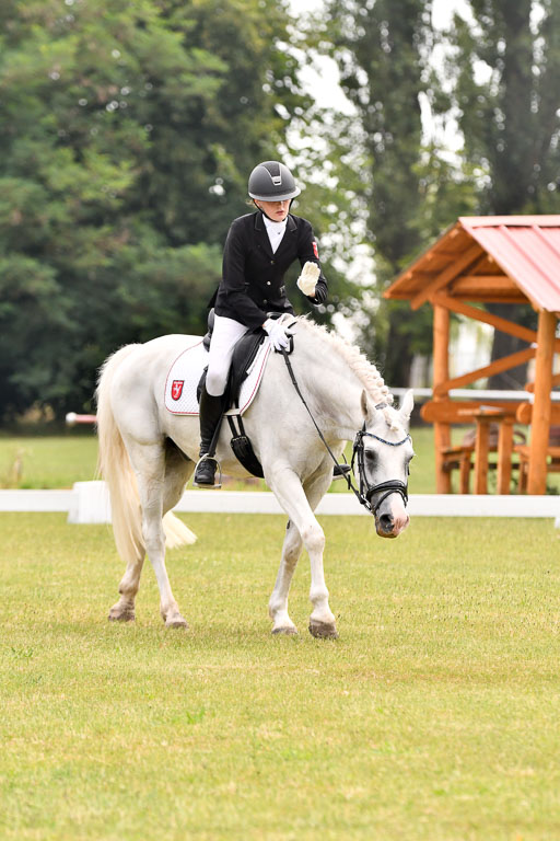 Goldene Schärpe Ponys in Hohenberg Krusemark 2024 | 12072024 Dressur _0100 