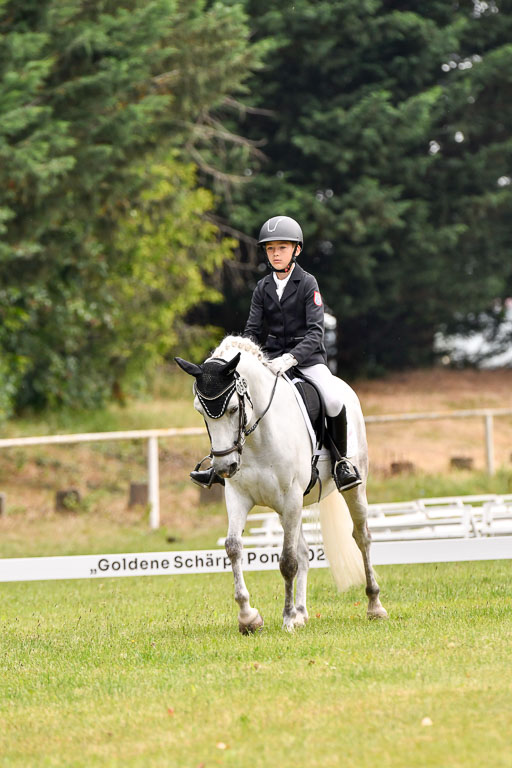 Goldene Schärpe Ponys in Hohenberg Krusemark 2024 | 12072024 Dressur _0101 