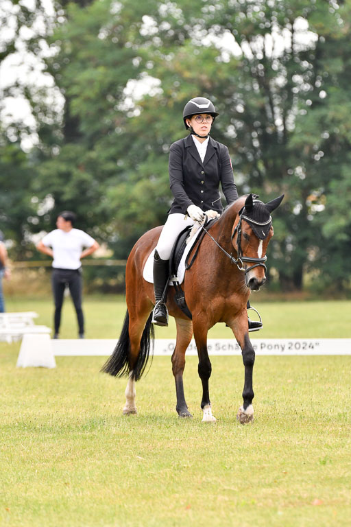 Goldene Schärpe Ponys in Hohenberg Krusemark 2024 | 12072024 Dressur _0102 