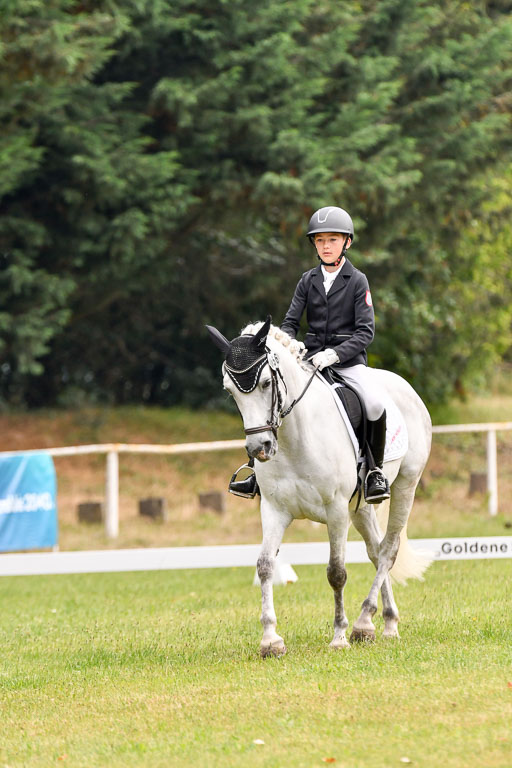 Goldene Schärpe Ponys in Hohenberg Krusemark 2024 | 12072024 Dressur _0103 