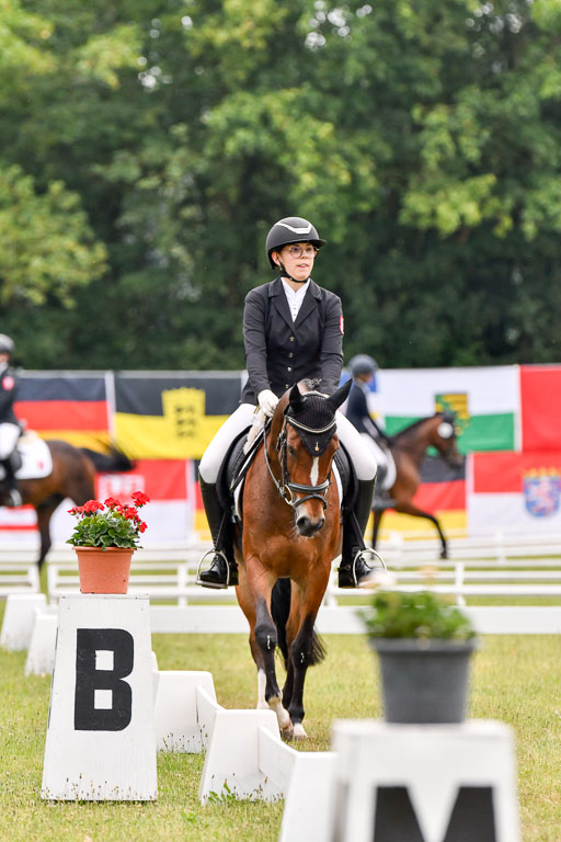 Goldene Schärpe Ponys in Hohenberg Krusemark 2024 | 12072024 Dressur _0106 