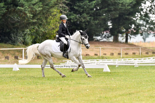 Goldene Schärpe Ponys in Hohenberg Krusemark 2024 | 12072024 Dressur _0108 