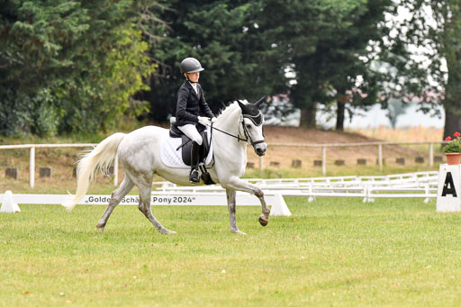 Goldene Schärpe Ponys in Hohenberg Krusemark 2024 | 12072024 Dressur _0109 