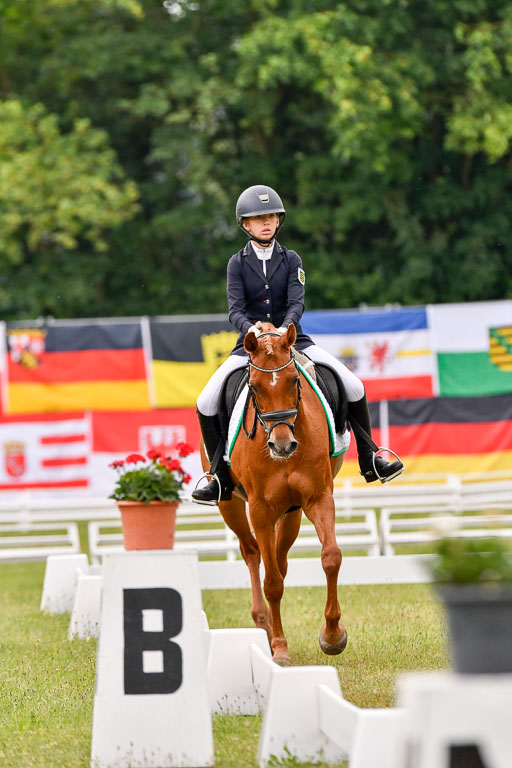 Goldene Schärpe Ponys in Hohenberg Krusemark 2024 | 12072024 Dressur _0200 