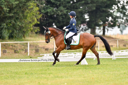 Goldene Schärpe Ponys in Hohenberg Krusemark 2024 | 12072024 Dressur _0204 