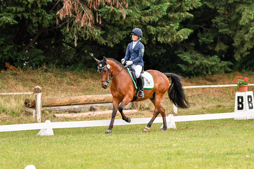 Goldene Schärpe Ponys in Hohenberg Krusemark 2024 | 12072024 Dressur _0208 