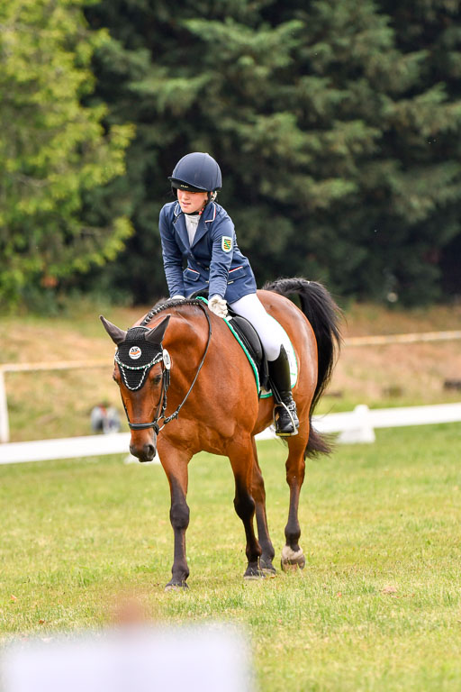 Goldene Schärpe Ponys in Hohenberg Krusemark 2024 | 12072024 Dressur _0211 