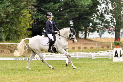 Goldene Schärpe Ponys in Hohenberg Krusemark 2024 | 12072024 Dressur _0301 