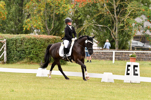 Goldene Schärpe Ponys in Hohenberg Krusemark 2024 | 12072024 Dressur _0302 