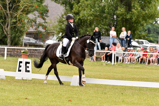 Goldene Schärpe Ponys in Hohenberg Krusemark 2024 | 12072024 Dressur _0304 