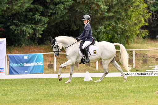 Goldene Schärpe Ponys in Hohenberg Krusemark 2024 | 12072024 Dressur _0306 