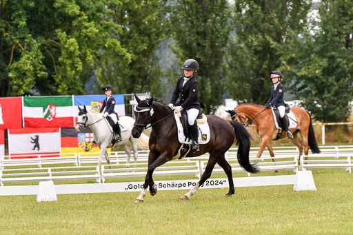 Goldene Schärpe Ponys in Hohenberg Krusemark 2024 | 12072024 Dressur _0307 