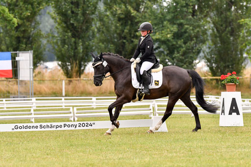 Goldene Schärpe Ponys in Hohenberg Krusemark 2024 | 12072024 Dressur _0308 
