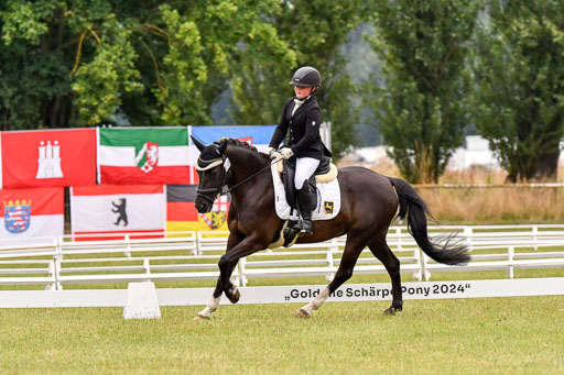 Goldene Schärpe Ponys in Hohenberg Krusemark 2024 | 12072024 Dressur _0309 