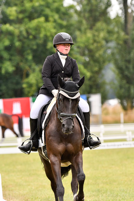 Goldene Schärpe Ponys in Hohenberg Krusemark 2024 | 12072024 Dressur _0313 