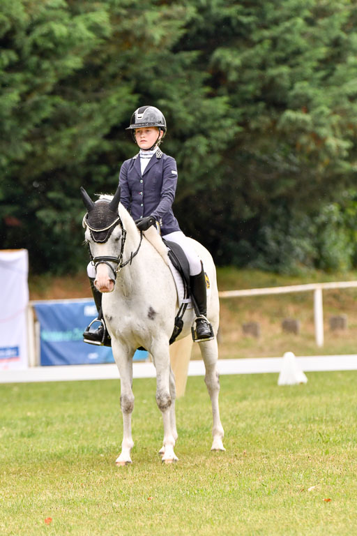 Goldene Schärpe Ponys in Hohenberg Krusemark 2024 | 12072024 Dressur _0314 
