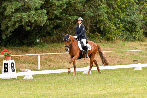 Goldene Schärpe Ponys in Hohenberg Krusemark 2024 | 12072024 Dressur _0401 