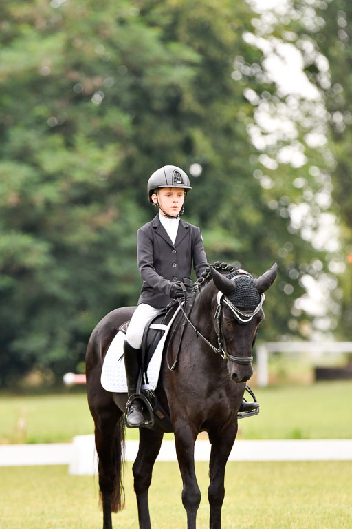 Goldene Schärpe Ponys in Hohenberg Krusemark 2024 | 12072024 Dressur _0412 