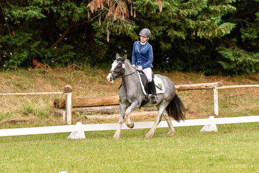 Goldene Schärpe Ponys in Hohenberg Krusemark 2024 | 12072024 Dressur _0502 