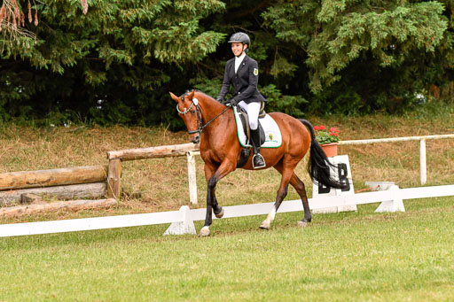 Goldene Schärpe Ponys in Hohenberg Krusemark 2024 | 12072024 Dressur _0600 