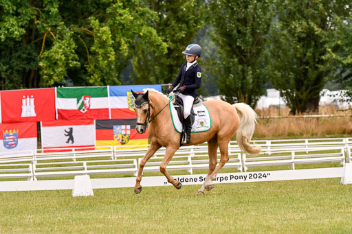 Goldene Schärpe Ponys in Hohenberg Krusemark 2024 | 12072024 Dressur _0601 