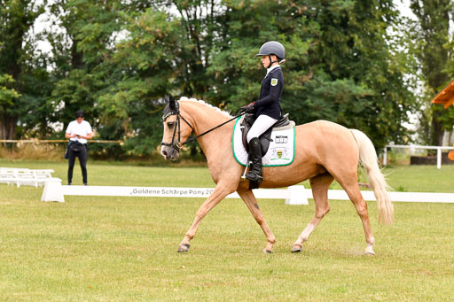 Goldene Schärpe Ponys in Hohenberg Krusemark 2024 | 12072024 Dressur _0604 