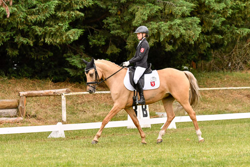 Goldene Schärpe Ponys in Hohenberg Krusemark 2024 | 12072024 Dressur _0608 