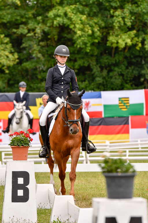 Goldene Schärpe Ponys in Hohenberg Krusemark 2024 | 12072024 Dressur _0610 