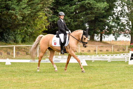 Goldene Schärpe Ponys in Hohenberg Krusemark 2024 | 12072024 Dressur _0612 