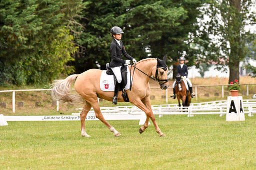 Goldene Schärpe Ponys in Hohenberg Krusemark 2024 | 12072024 Dressur _0614 