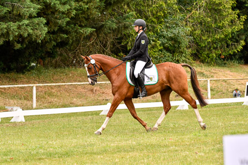 Goldene Schärpe Ponys in Hohenberg Krusemark 2024 | 12072024 Dressur _0706 