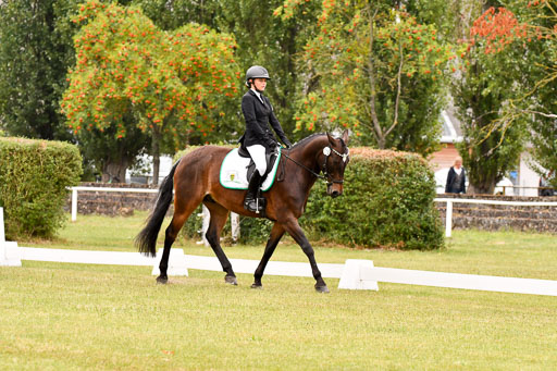 Goldene Schärpe Ponys in Hohenberg Krusemark 2024 | 12072024 Dressur _0708 