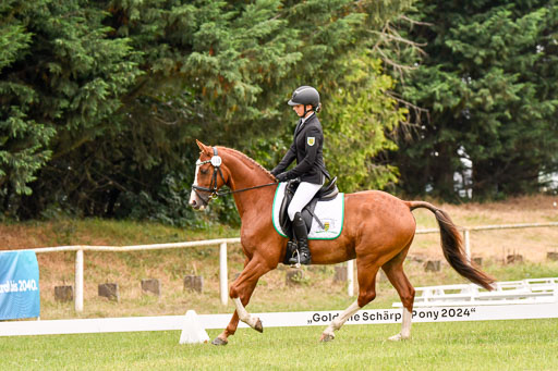 Goldene Schärpe Ponys in Hohenberg Krusemark 2024 | 12072024 Dressur _0710 